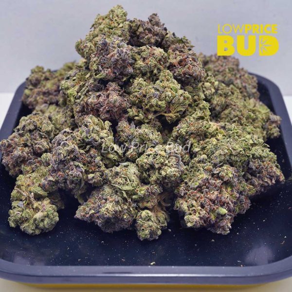 Buy Monster Pink (AAAA) online Canada