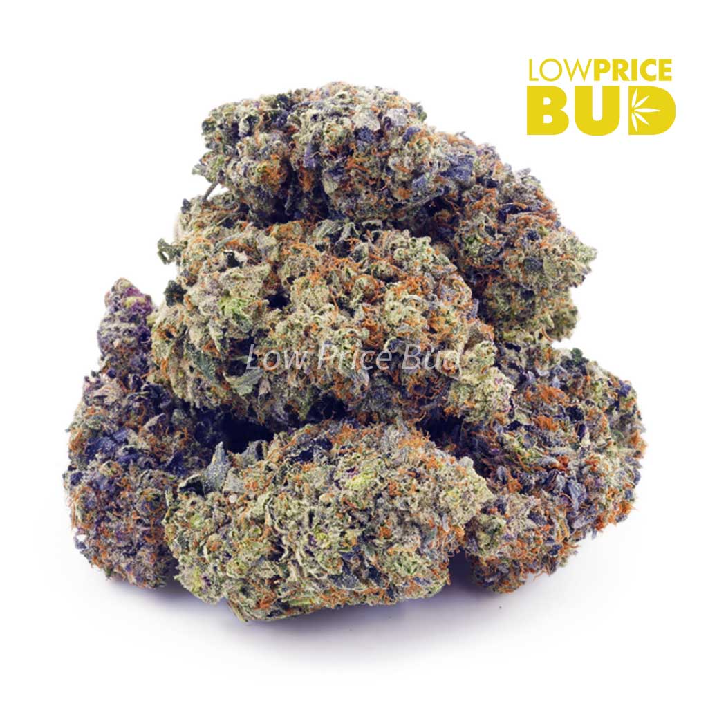 Buy Pink Diablo (AAAA) online Canada