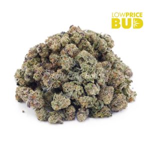 Buy Tangie (AAAA) – Popcorn Nugs online Canada
