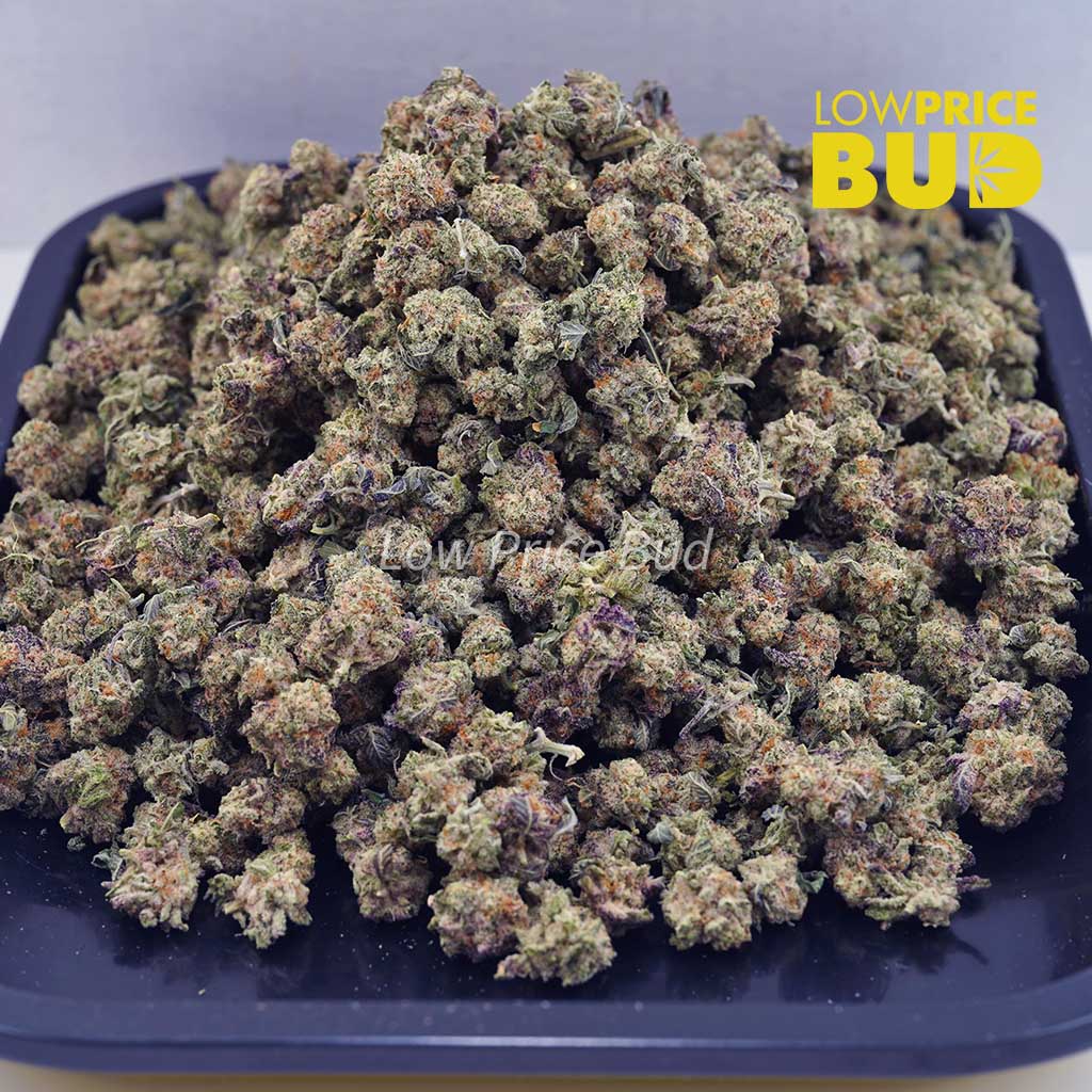 Buy Tangie (AAAA) – Popcorn Nugs online Canada
