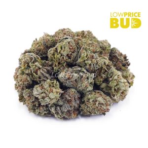Buy Lemon Mintz (AAAA) – Popcorn Nugs online Canada