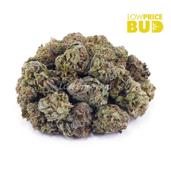 Buy Lemon Mintz (AAAA) – Popcorn Nugs online Canada
