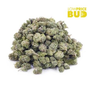 Buy MAC Donuts (AAAA) – Popcorn Nugs online Canada