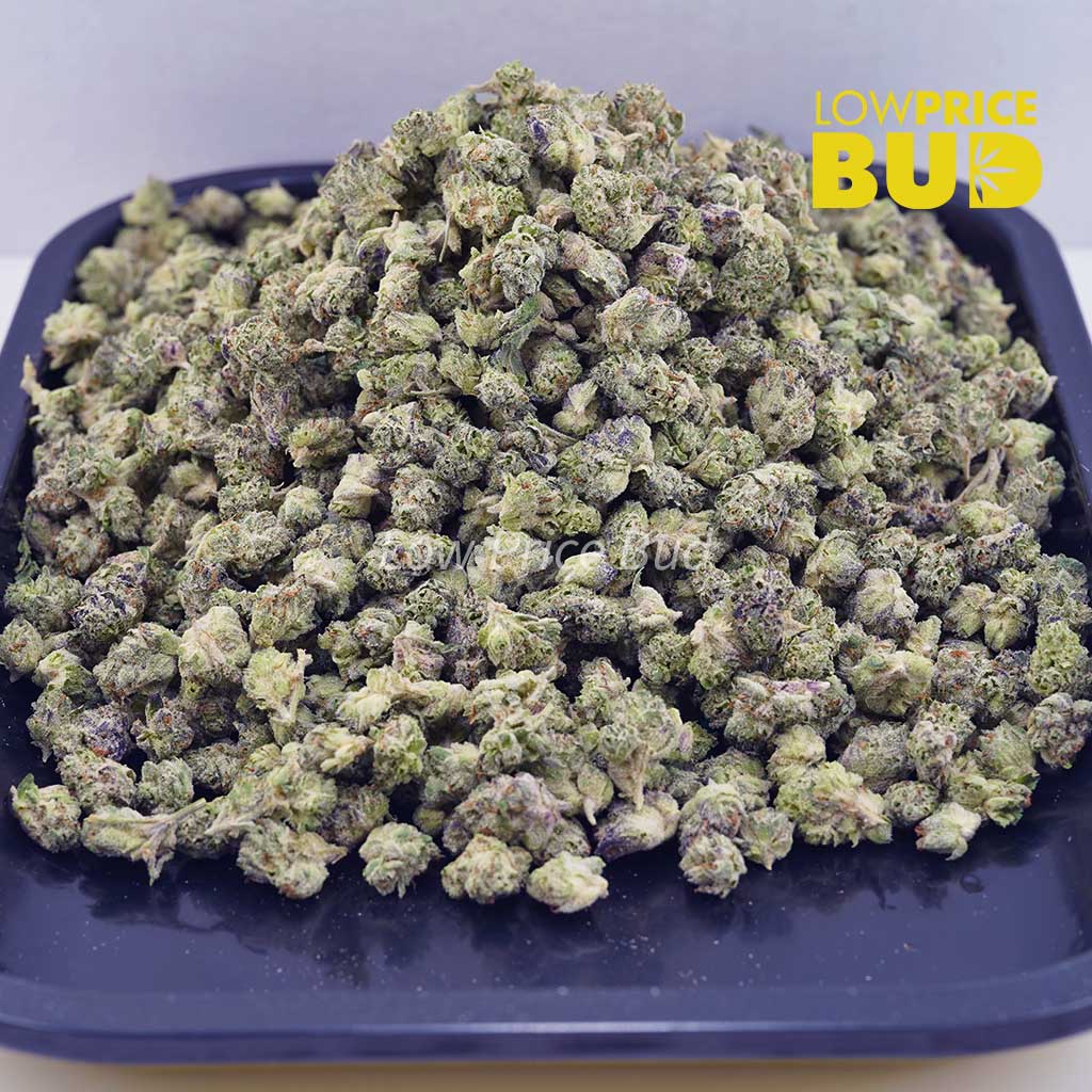 Buy MAC Donuts (AAAA) – Popcorn Nugs online Canada