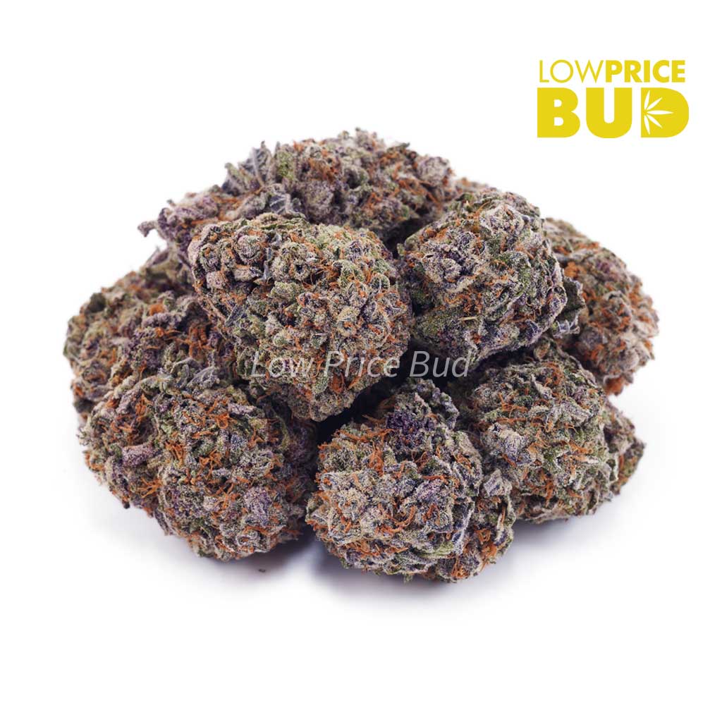 Buy Grape Crush (AAAA) online Canada