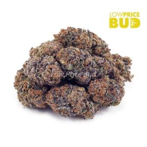 Buy Rainbow Belts (AAA) online Canada