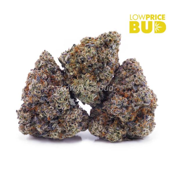Buy Cake Mintz (AAAA) online Canada
