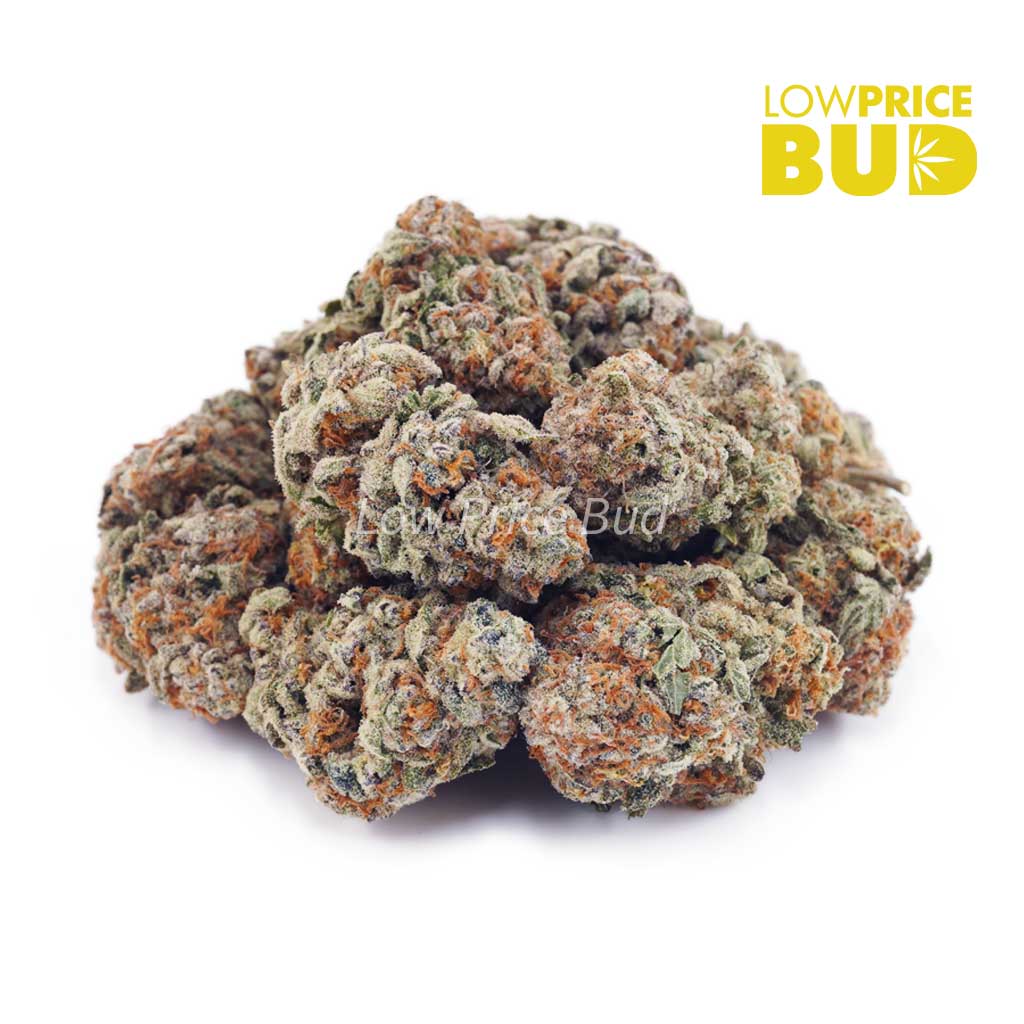 Buy Golden Goat (AAA) online Canada