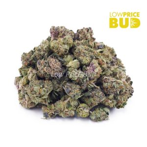 Buy OG Shark (AAAA) – Popcorn Nugs online Canada