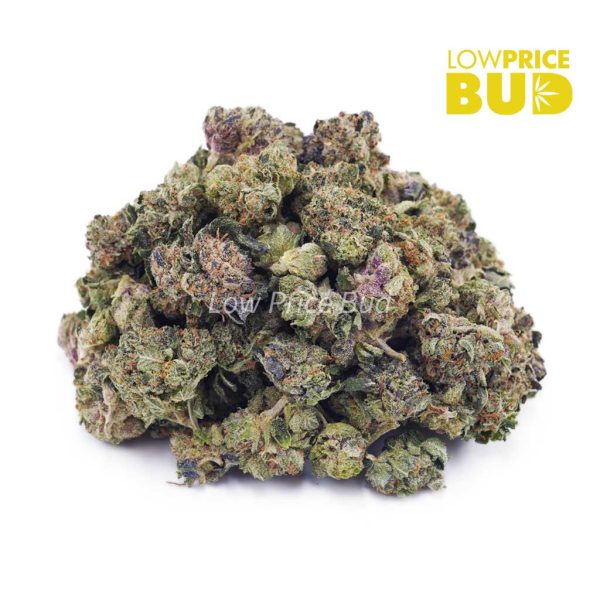 Buy OG Shark (AAAA) – Popcorn Nugs online Canada