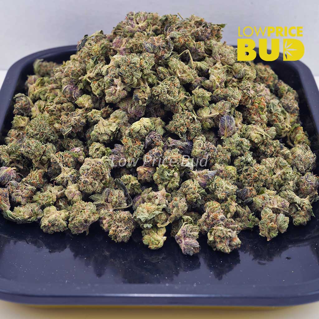 Buy OG Shark (AAAA) – Popcorn Nugs online Canada
