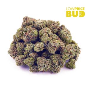 Buy Cinderella 99 (AAAA) – Popcorn Nugs online Canada