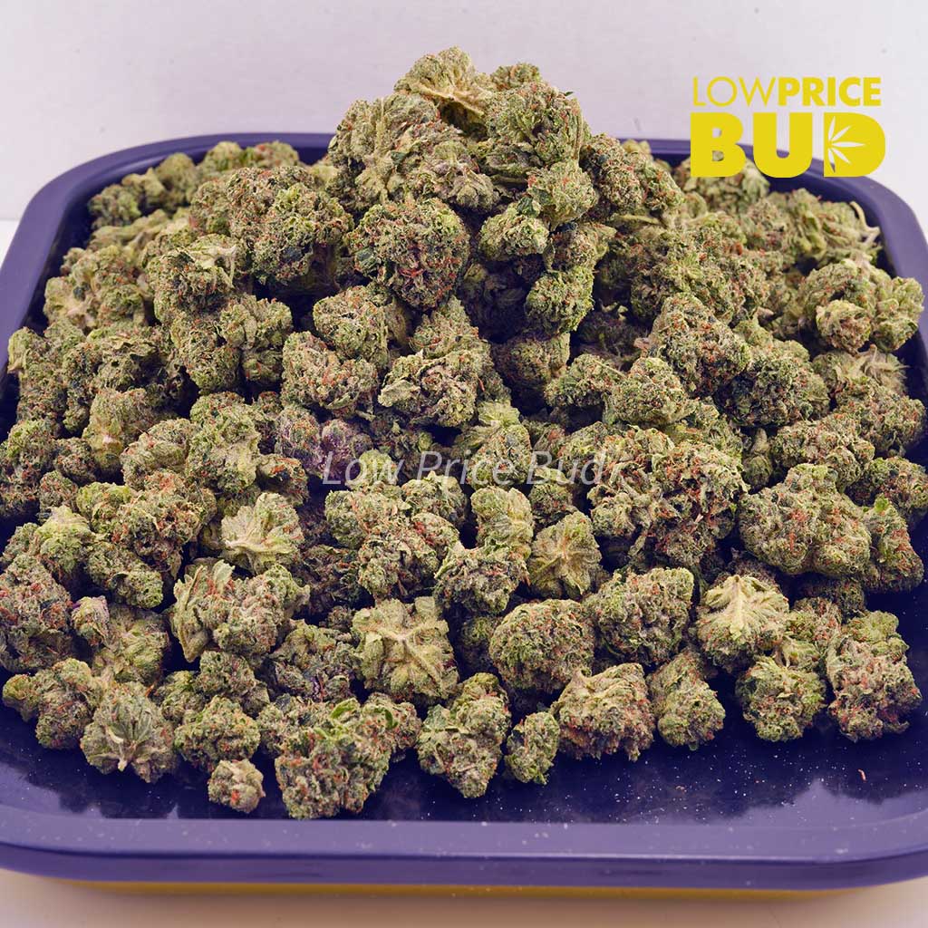 Buy Cinderella 99 (AAAA) – Popcorn Nugs online Canada