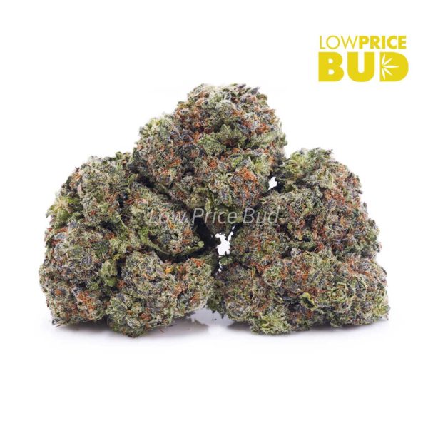 Buy God Bud (AA) online Canada