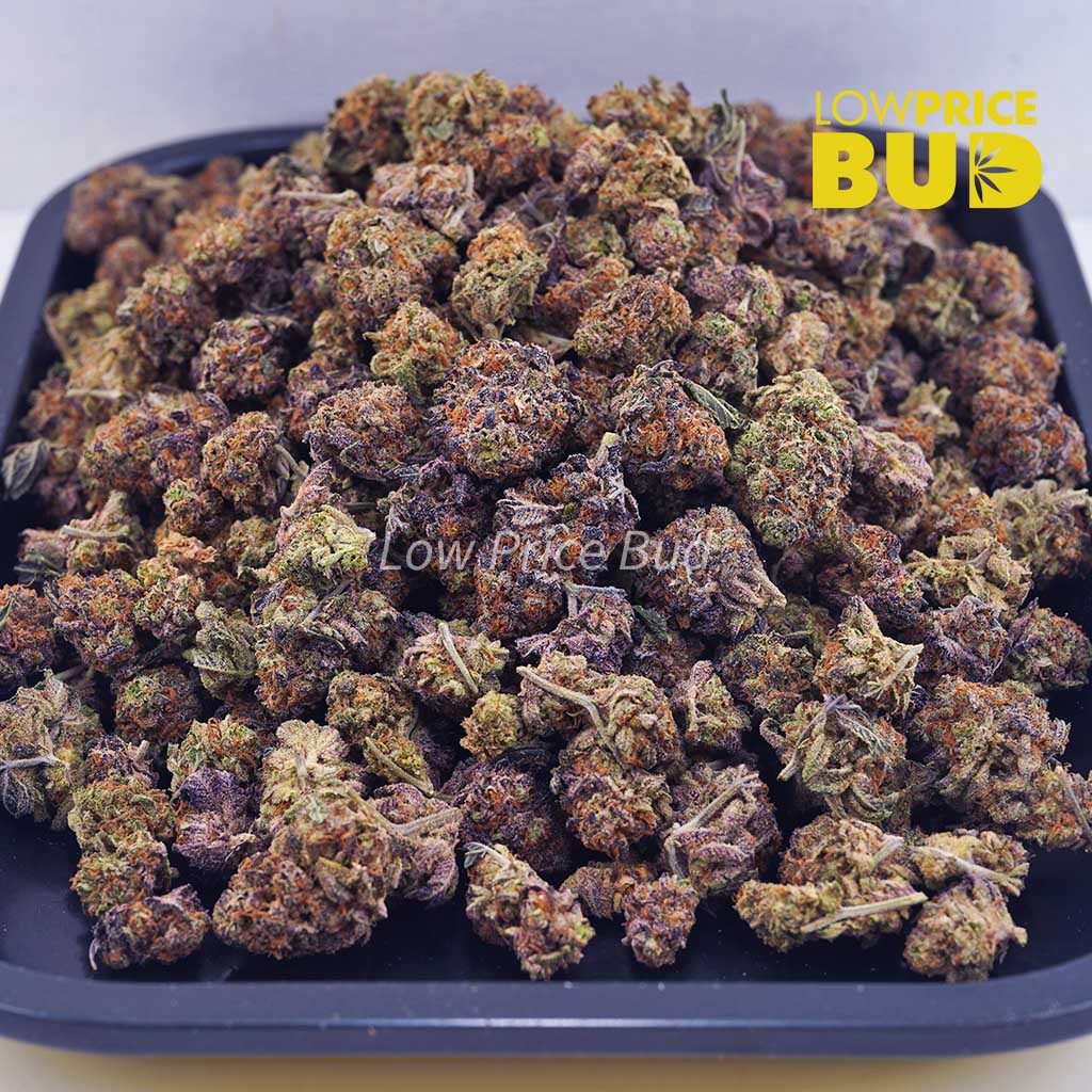 Buy Peanut Butter Rockstar (AAAA) – Popcorn Nugs online Canada