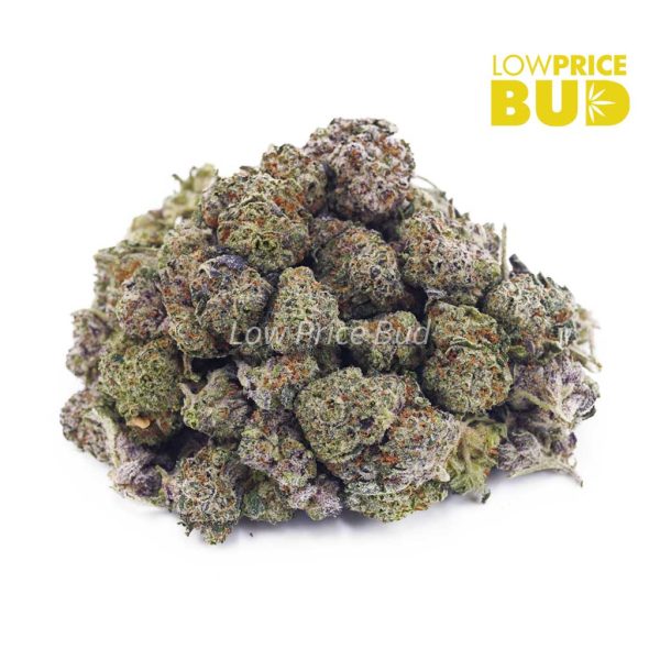 Buy White Russian Cream Kush (AAAA) – Popcorn Nugs online Canada