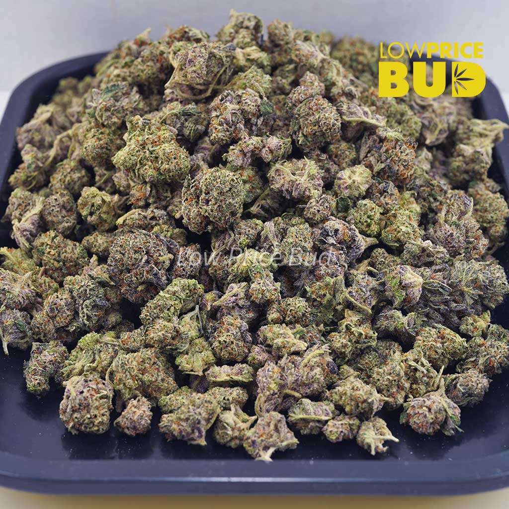 Buy White Russian Cream Kush (AAAA) – Popcorn Nugs online Canada