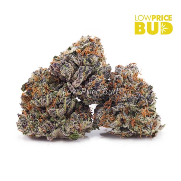 Buy Grape Cake (AAAA) online Canada