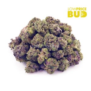 Buy Platinum Pink (AAAA) – Popcorn Nugs online Canada