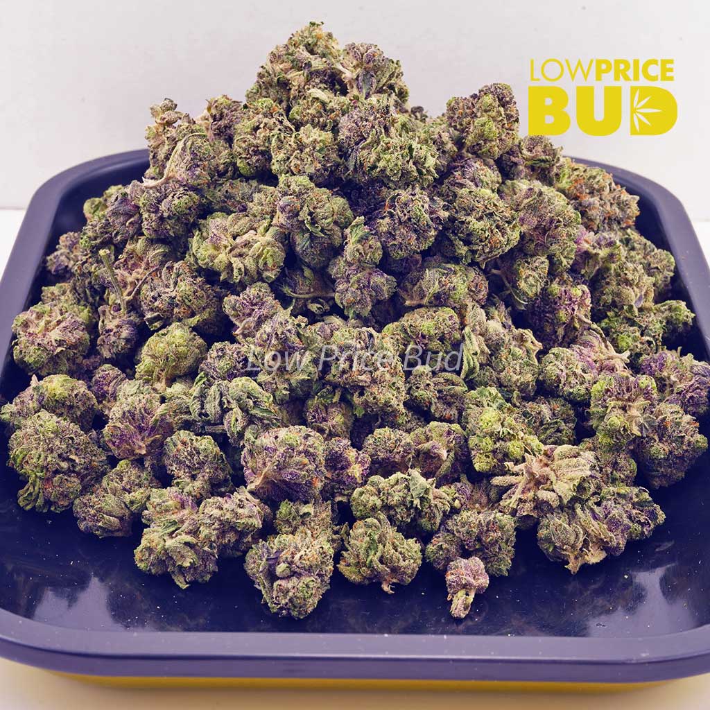 Buy Platinum Pink (AAAA) – Popcorn Nugs online Canada