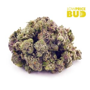 Buy Purple Widow (AAAA) – Popcorn Nugs online Canada