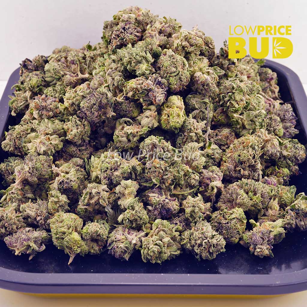 Buy Purple Widow (AAAA) – Popcorn Nugs online Canada
