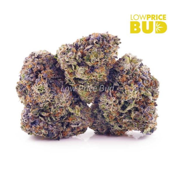 Buy Supreme Blueberry (Craft Cannabis) online Canada