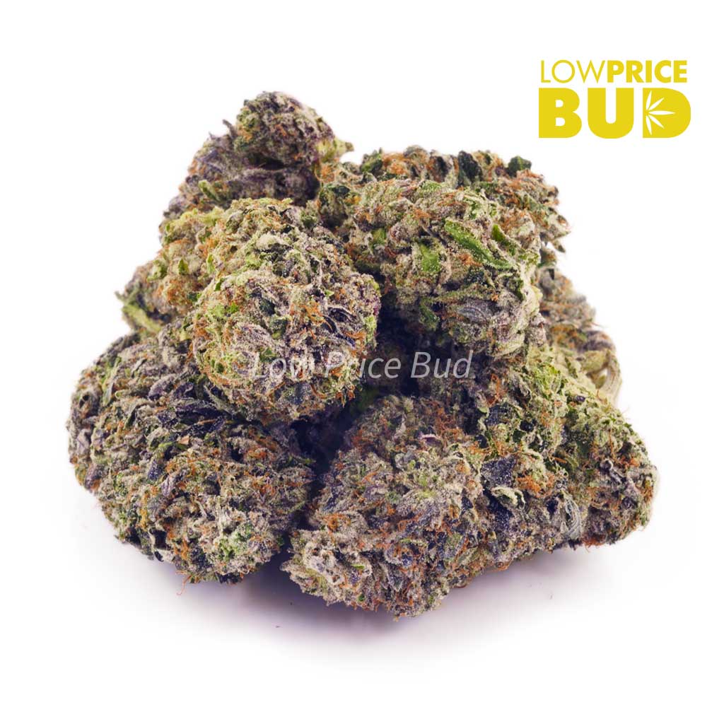 Buy Supreme Blueberry (Craft Cannabis) online Canada
