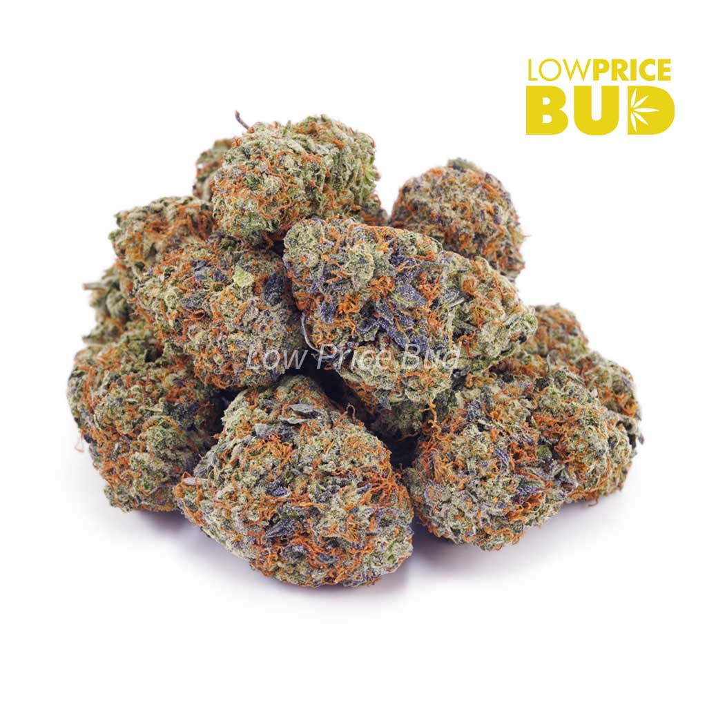 Buy Animal Mintz (AA) online Canada