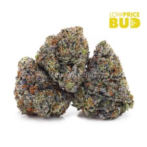 Buy Hawaiian Pink Punch (Craft Cannabis) online Canada