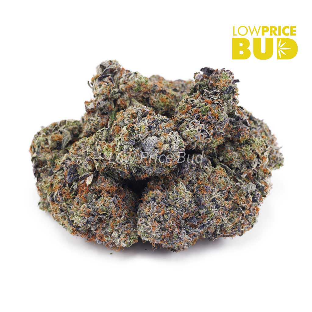 Buy Hawaiian Pink Punch (Craft Cannabis) online Canada