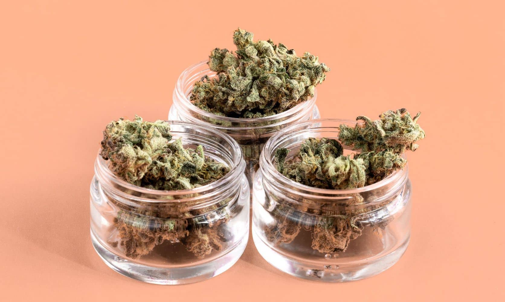 Buying canna online is faster, convenient, and reliable. Struggling to spot the best online dispensary in Canada? Here’s help.
