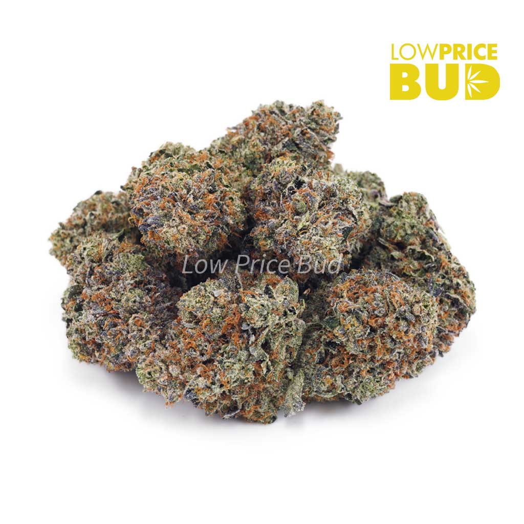 Buy Snoop Dog OG (AAAA) online Canada