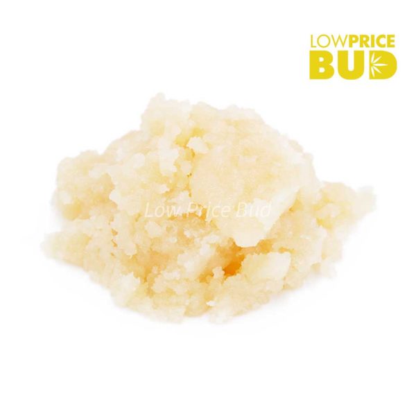 Buy Caviar – Astro Pink online Canada