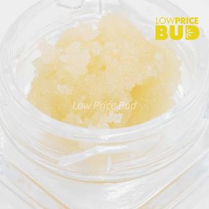 Buy Caviar – Astro Pink online Canada