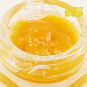 Buy Caviar – Death Pink online Canada