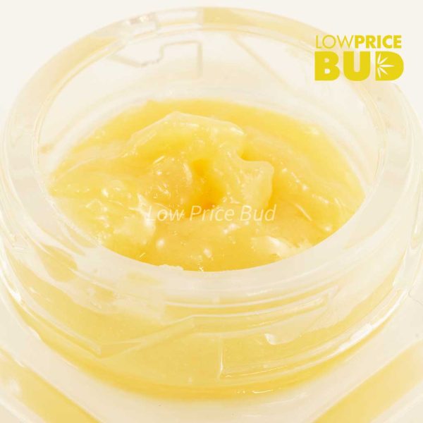 Buy Caviar – God’s Breath online Canada