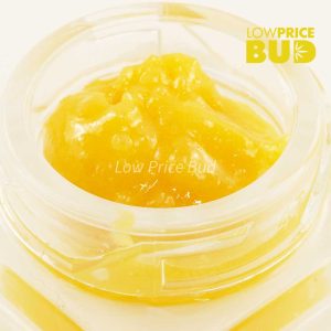 Buy Caviar – Master Jedi online Canada