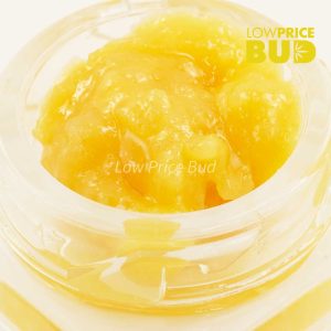 Buy Caviar – Miracle Alien Cookies online Canada