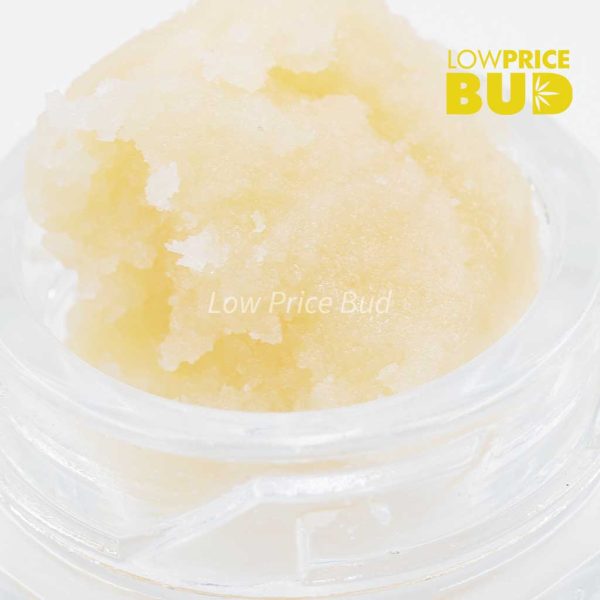 Buy Caviar – Wreckless Rainbow online Canada