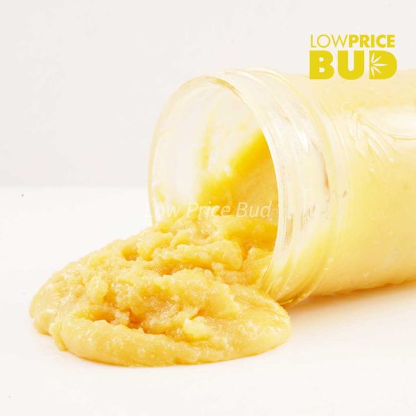 Buy Caviar – God’s Breath online Canada