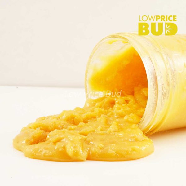 Buy Caviar – Miracle Alien Cookies online Canada