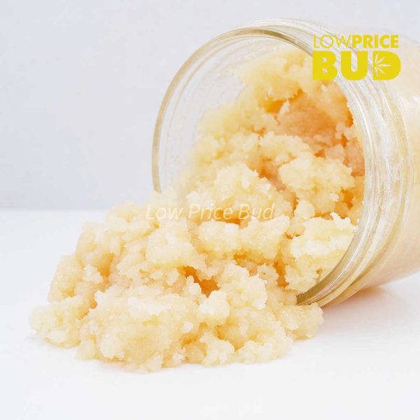 Buy Caviar – Supreme Gas Mask online Canada