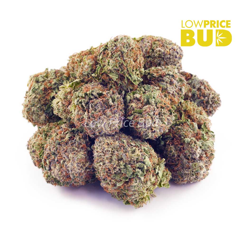 Buy Frosted Fruit Cake (AAAA) online Canada