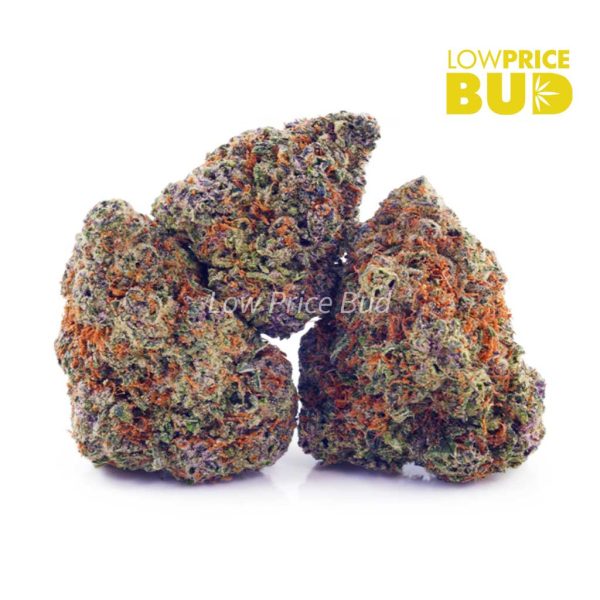 Buy Juicy Fruit (AAA) online Canada