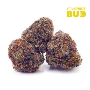 Buy Chemdawg (AAA) online Canada