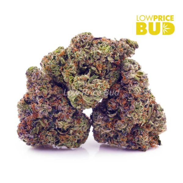 Buy Pink Deathstar (AAAA) online Canada