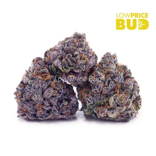 Buy Super Bud (AAAA) online Canada