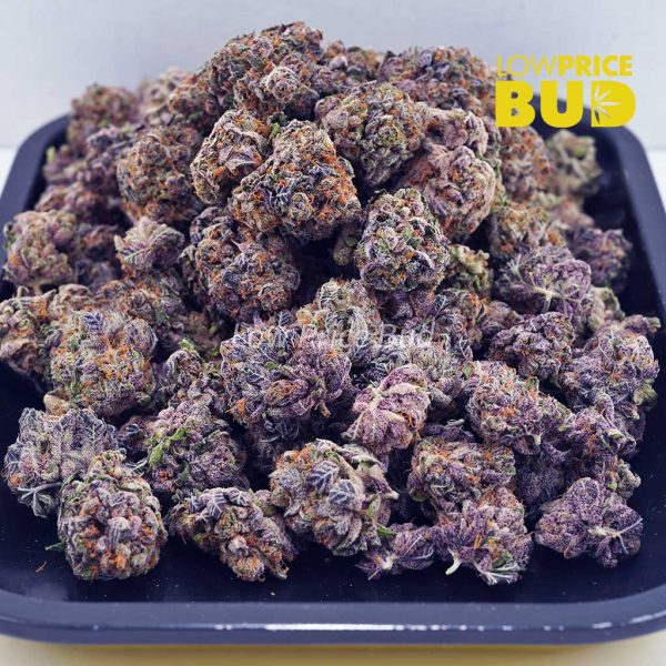 Buy Super Bud (AAAA) online Canada