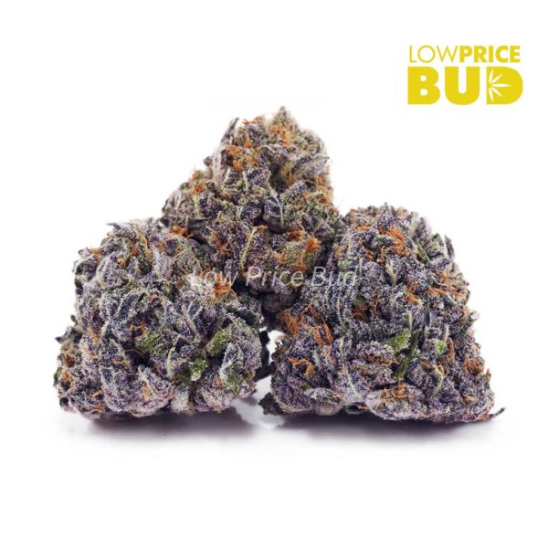 Buy Purple Ice Wreck (AAAA) online Canada